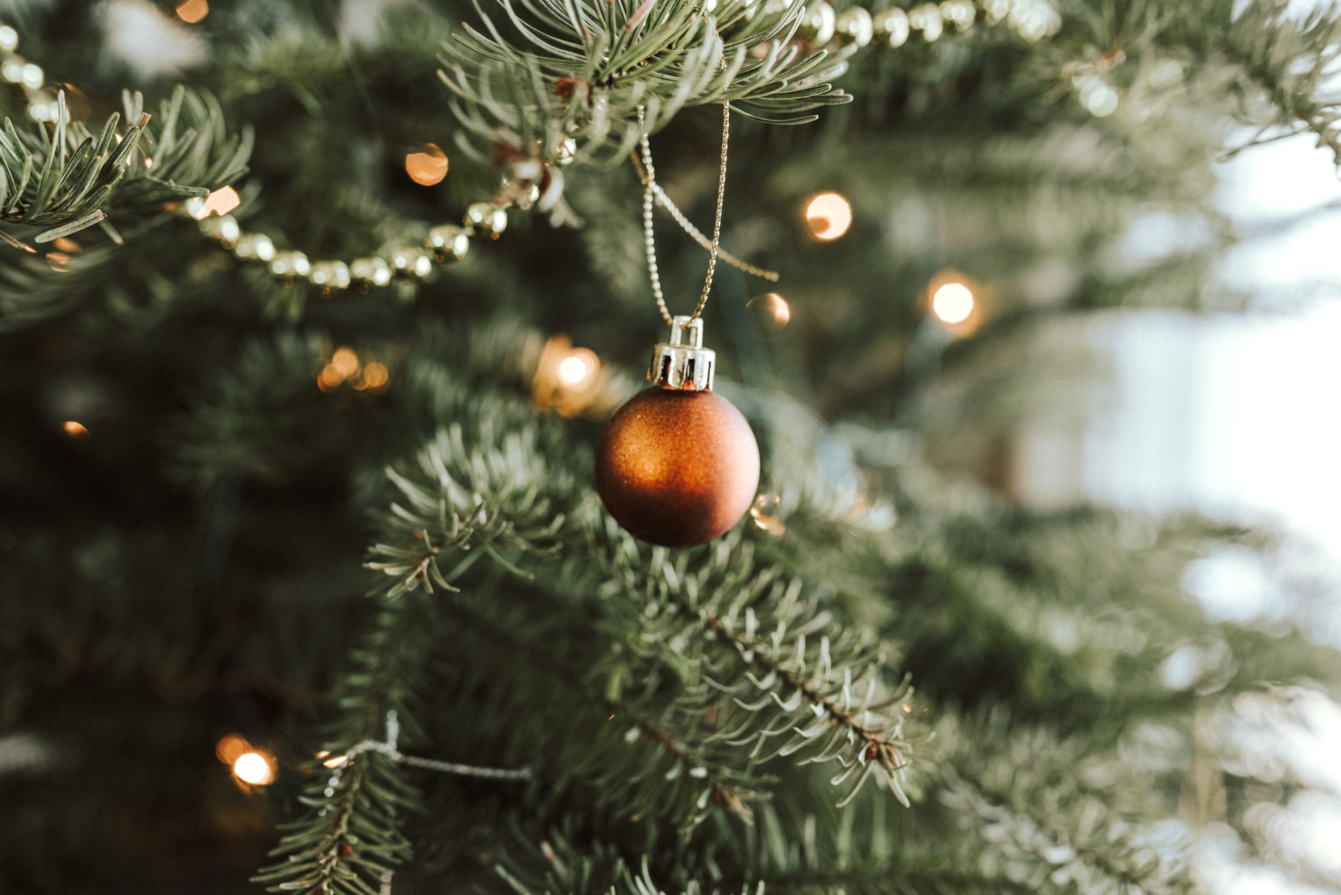 Recycle Christmas Lights 2022 Seattle Seattle Christmas Tree Disposal | Easy Xmas Tree Removal