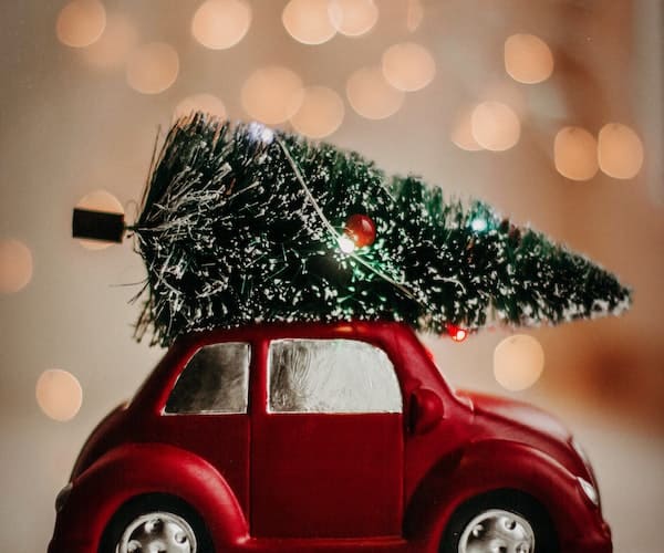 Christmas tree on car cartoon