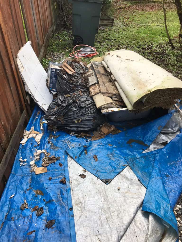 backyard junk removal seattle before