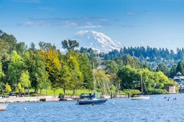 view of the shoreline at Gene Coulon Park in Renton