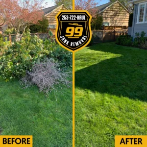 before and after of yard waste removal in Seattle
