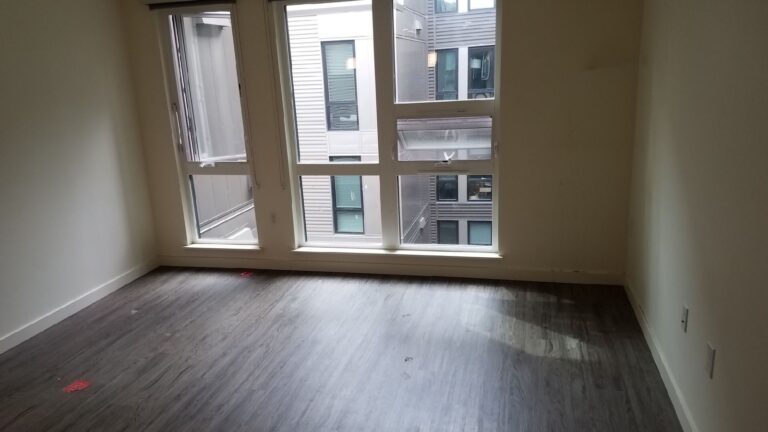 Tackling Your Issaquah Attic Cleanup with 99 Junk Removal