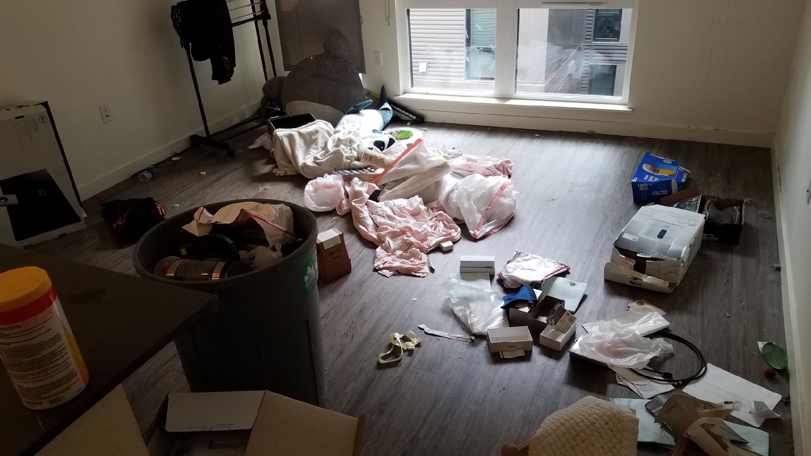 Tackling Your Issaquah Attic Cleanup with 99 Junk Removal - 99 Junk