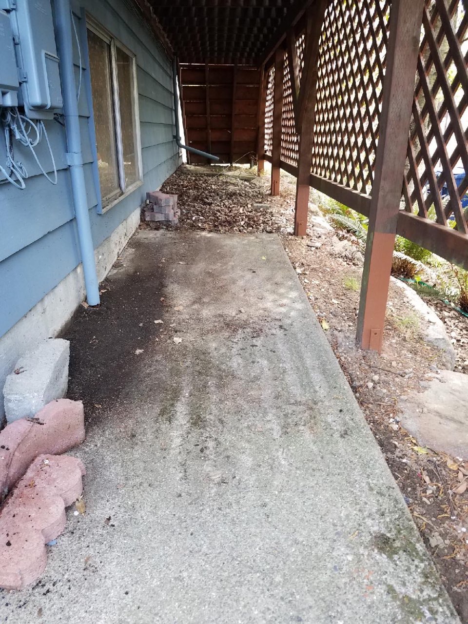 After: yard cleared by 99 Junk Removal