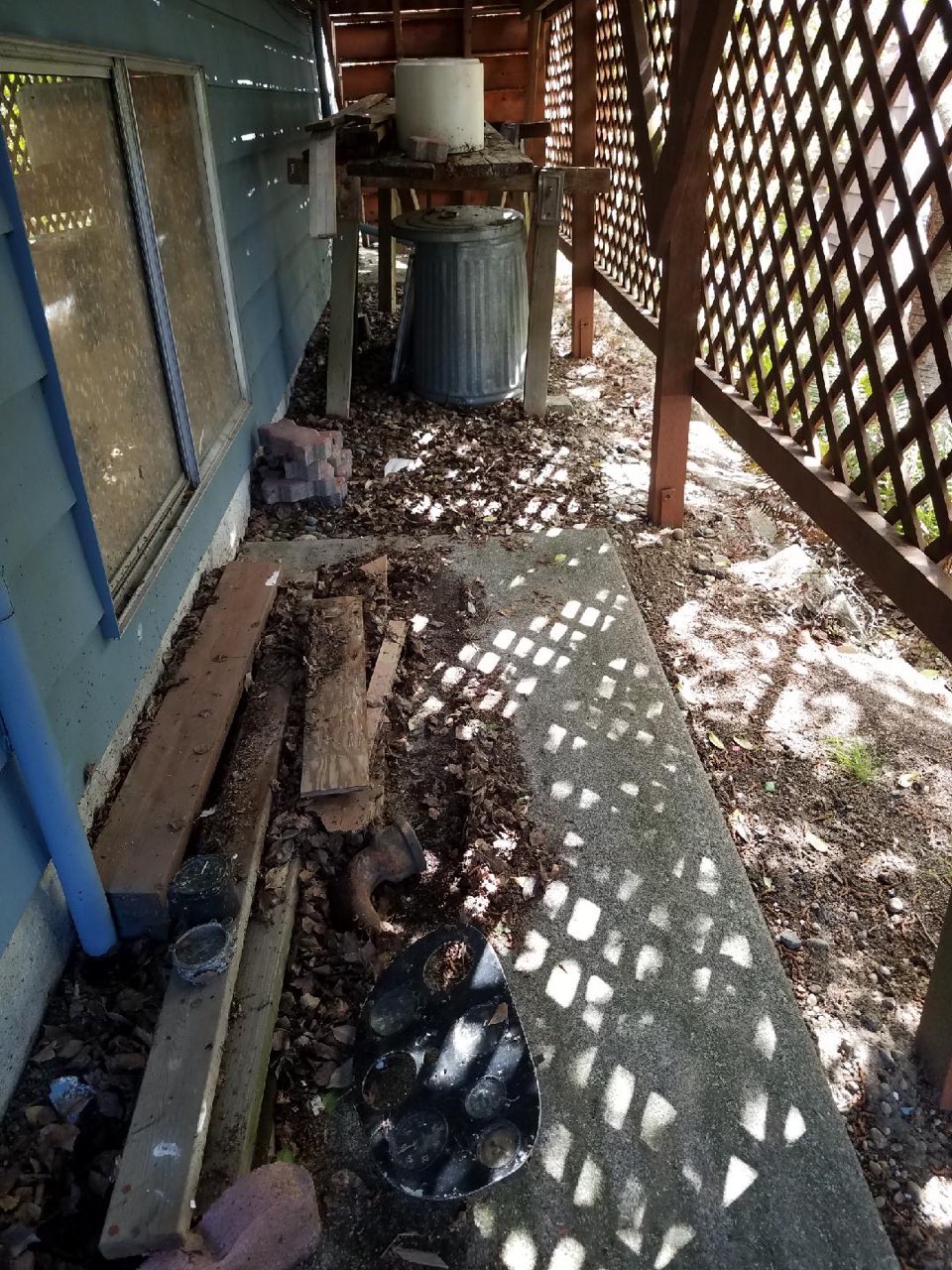Before: yard full of waste and debris