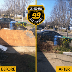 Driveway Cleanout Junk Removal 99 Junk Removal Before and After