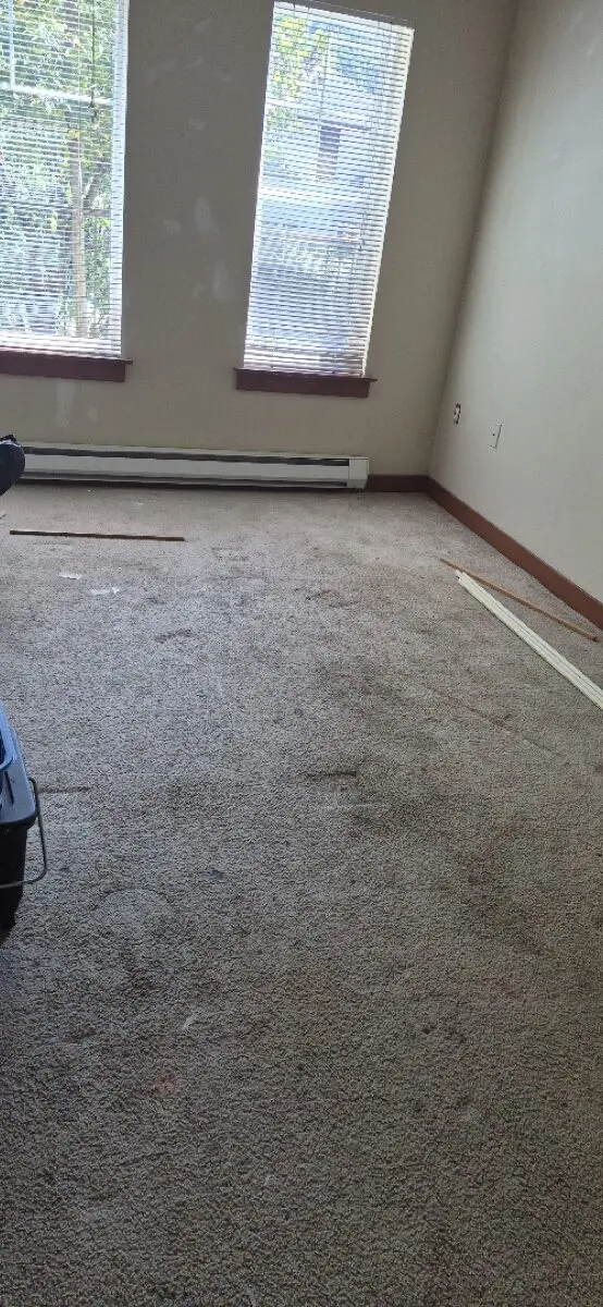 After: apartment living room cleared by 99 Junk Removal