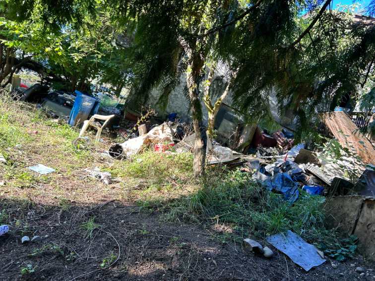 Seattle Yard Waste Bin Rules — What Goes In, What Doesn’t, and What to Do When It’s Full